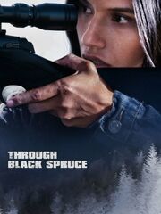 Through Black Spruce