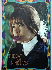 The Cat Has Nine Lives
