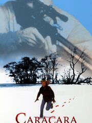 Caracara