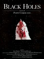 Black Holes