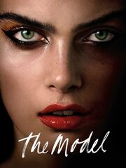 The Model