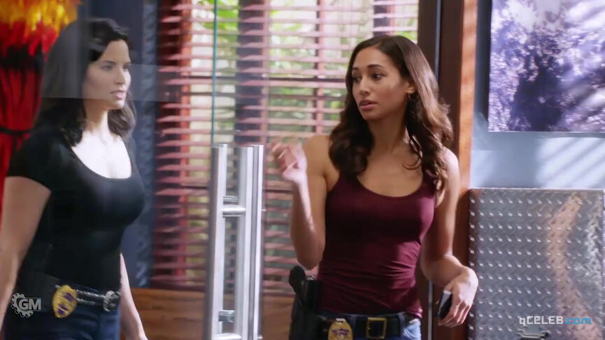 3. Meaghan Rath sexy – Hawaii Five-0 s10e06 (2019)