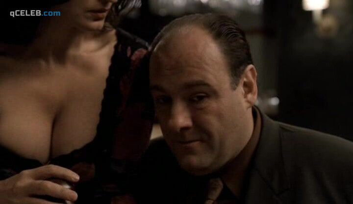 2. Kathrine Narducci sexy – The Sopranos s05e11 (2004)