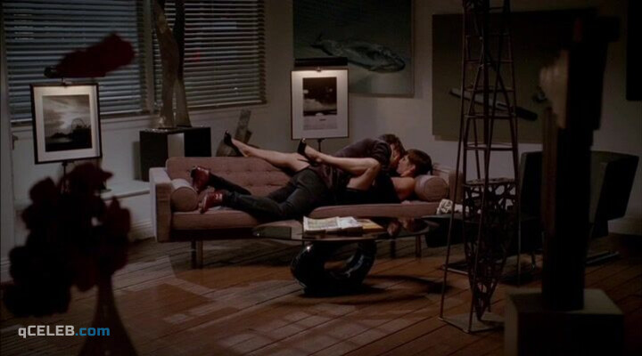 10. Natalie Zea sexy, Zoe McLellan sexy – Dirty Sexy Money s02e06 (2008)