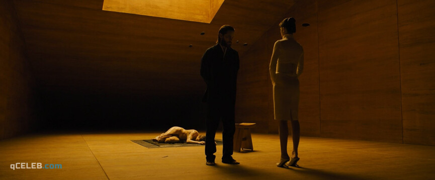 1. Sallie Harmsen nude – Blade Runner 2049 (2017)
