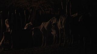 Maeve Jinkings nude – Neon Bull (2015)