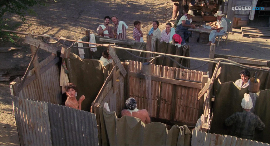 2. Elizabeth Pena nude – La Bamba (1987)