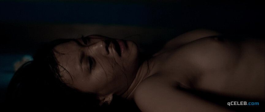 8. Song Xiao Cheng nude – Dream Home (2010)