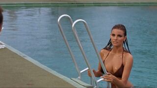 Raquel Welch sexy, Christine Todd nude – Lady in Cement (1968)